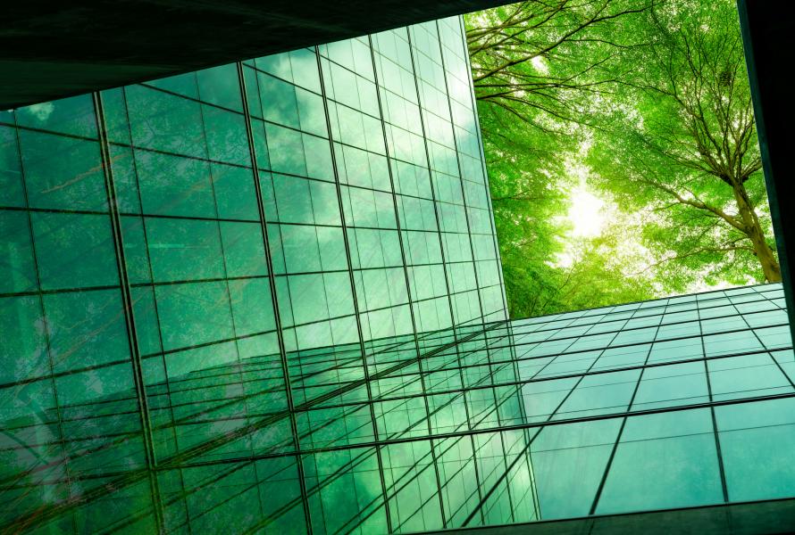 IoD September Seminar - Using Partnerships to Deliver Climate Change Goals