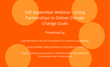 How to partner towards Sustainable Development Goals?