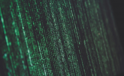 The Role of Data Protection